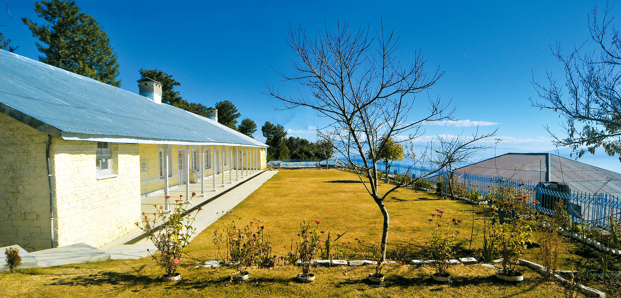 University of the Punjab